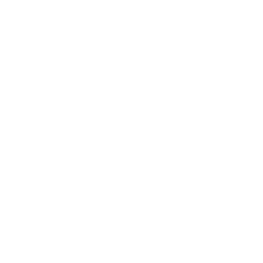Viessman logo