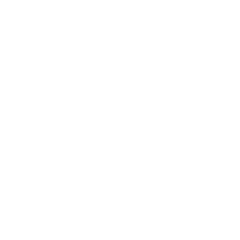 Ariston logo