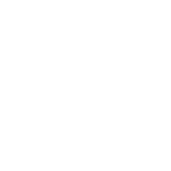 Vaillant logo